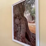 Costa Doro - *